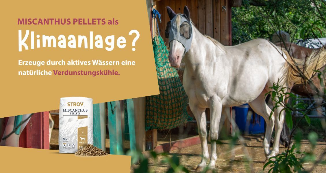 Banner für STROY.de Aktions  (1128 x 600 px)